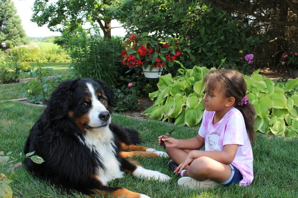 Girl sitting with a large dog.